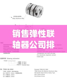 销售弹性联轴器公司排名及市场影响力深度解析