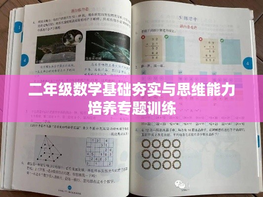 二年级数学基础夯实与思维能力培养专题训练